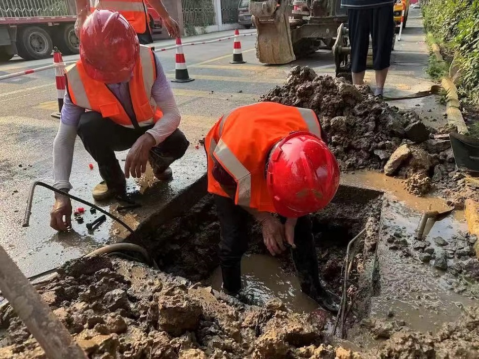 香港宝典免费大全资料